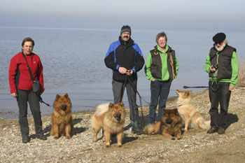 Spaziergang am Chiemsee