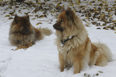 Schnee im Oktober