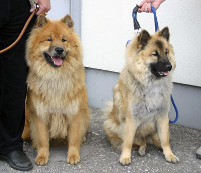 Assanto und Appanachi