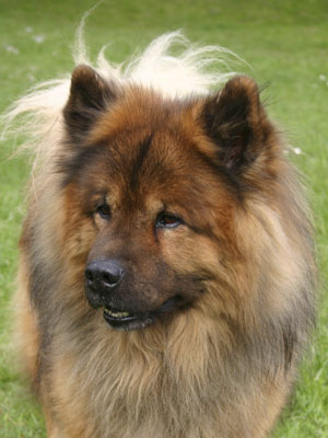 Felix 9 Jahre