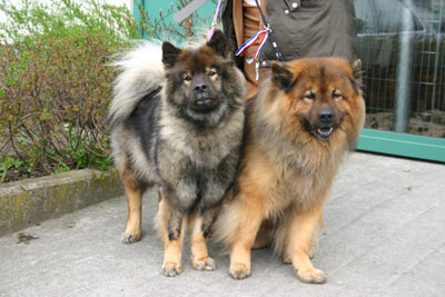 Bjarna und Felix