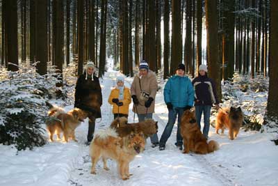 Winterspaziergang