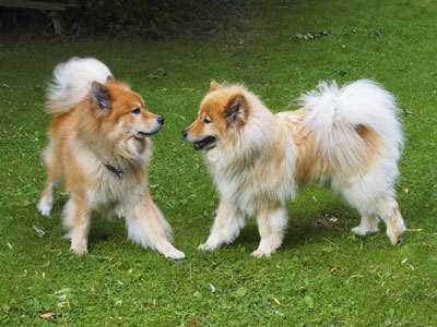 Timo und Aurora