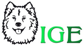 IGE-Logo